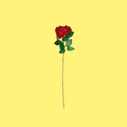 Charming Artificial Rose for Everlasting Romance