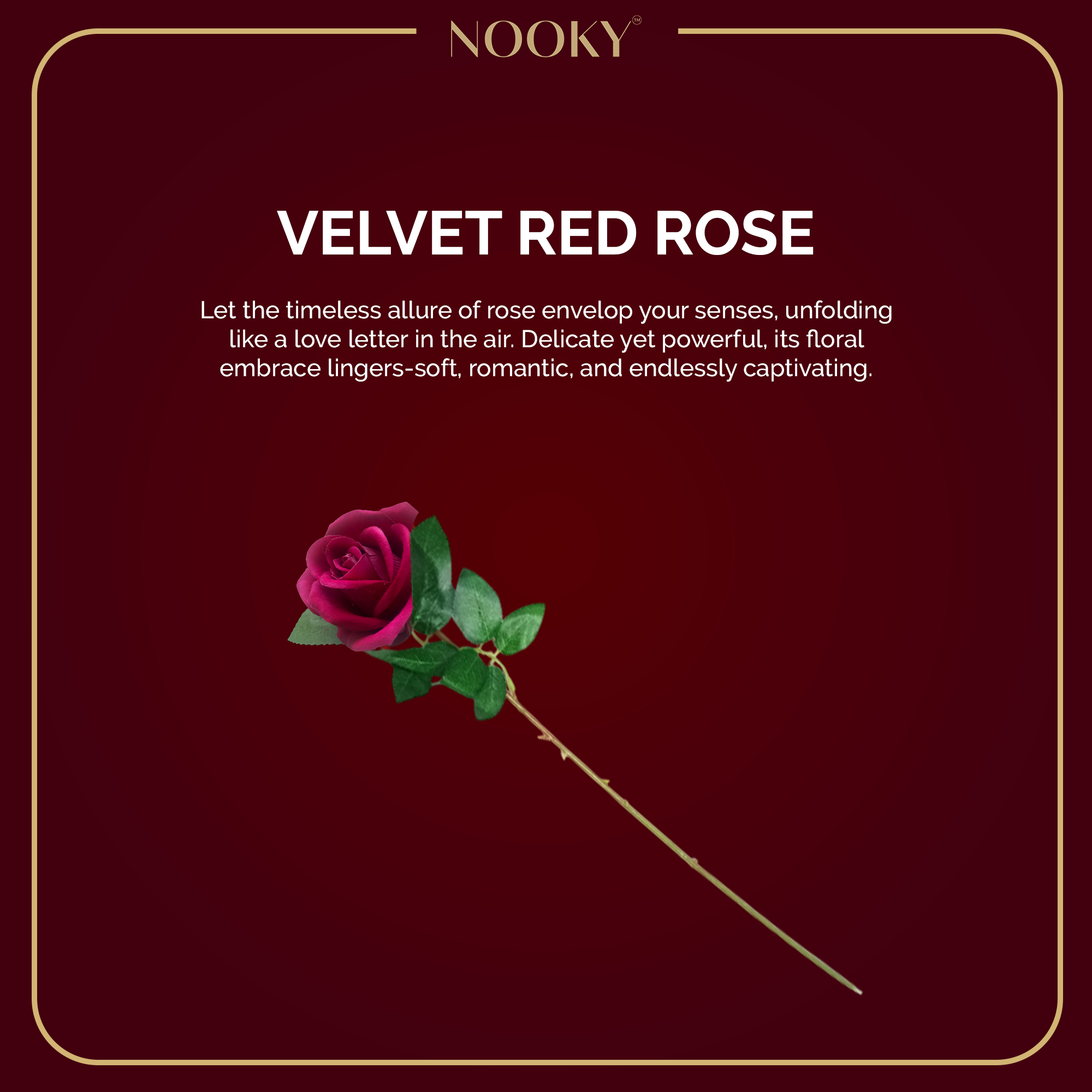 The Dream Box - Saree Edition To Enhance Experience