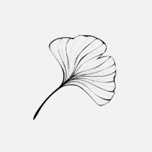 Ginko Biloba