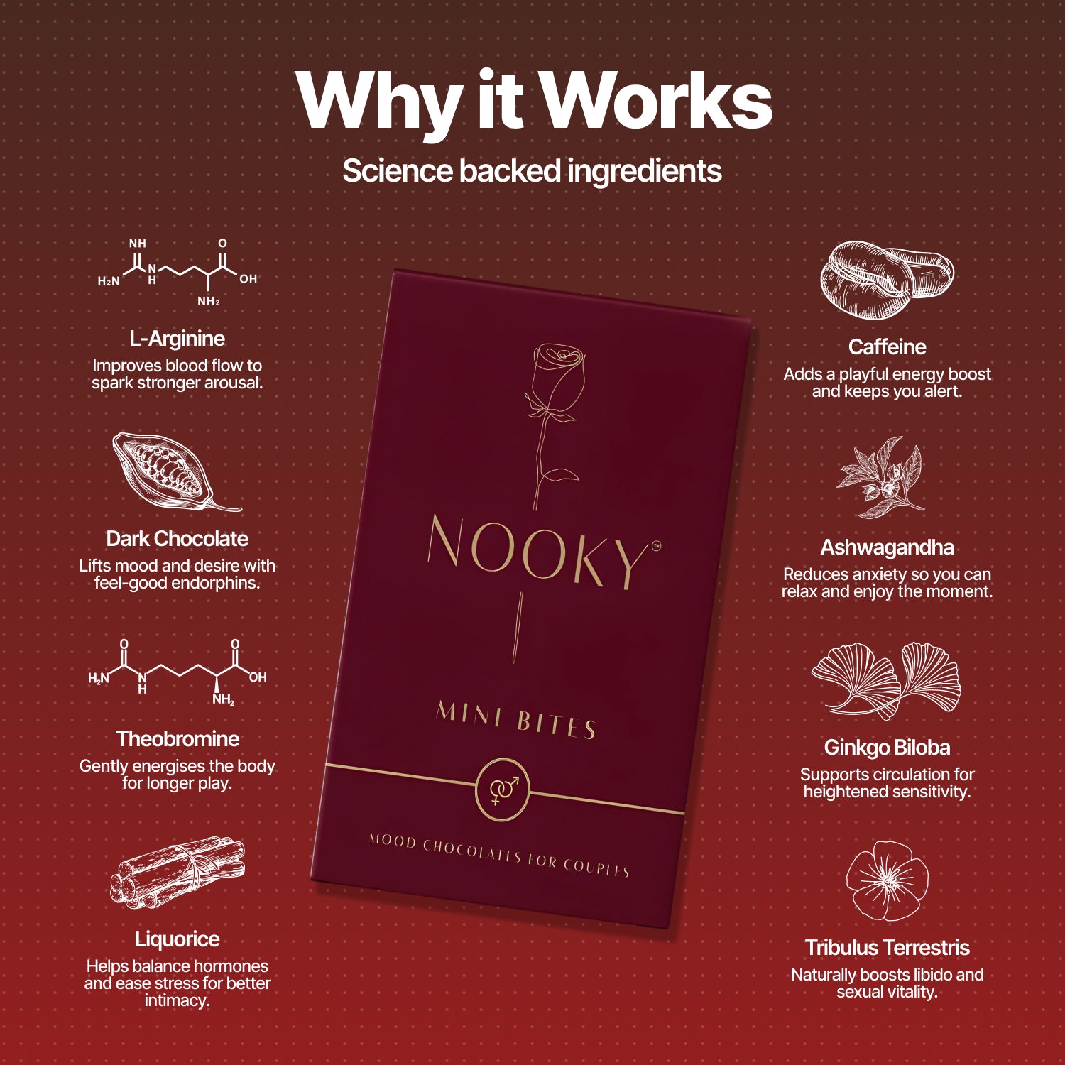 Nooky Crave 2-in-1 Play Kit | Core Butt Plug for Couples + Mini Bite Intimacy Chocolate