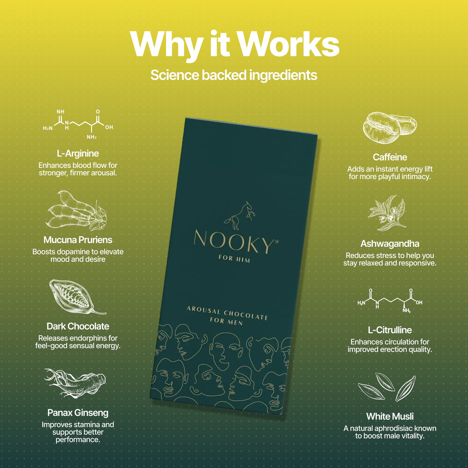 Nooky Moan 2-in-1 Play Kit | Maestro Men’s Stroker + Intimacy Chocolate for Him